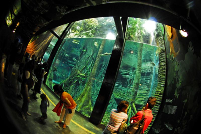 Acuario del Parque Explora, Medellin, Antioquia, C...