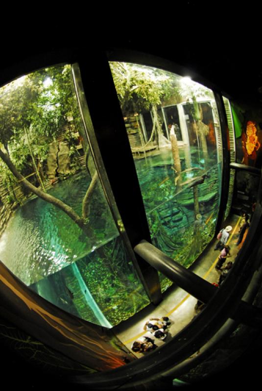 Acuario del Parque Explora, Medellin, Antioquia, C...