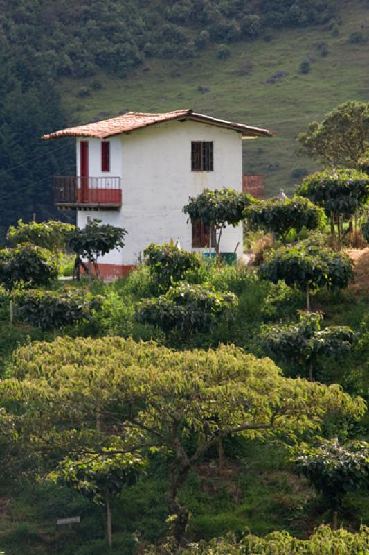 Vivienda Tradicional, San Cristobal, Medellin, Ant...