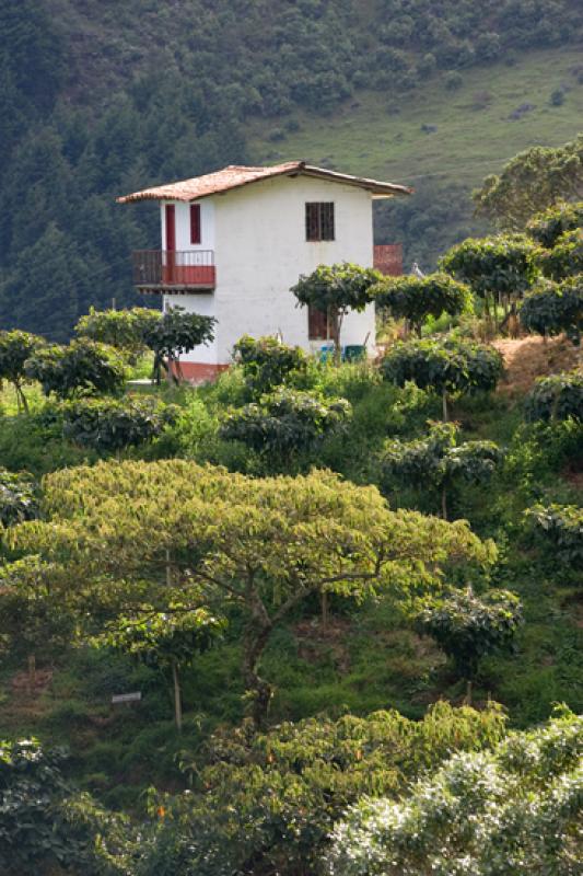 Vivienda Tradicional, San Cristobal, Medellin, Ant...