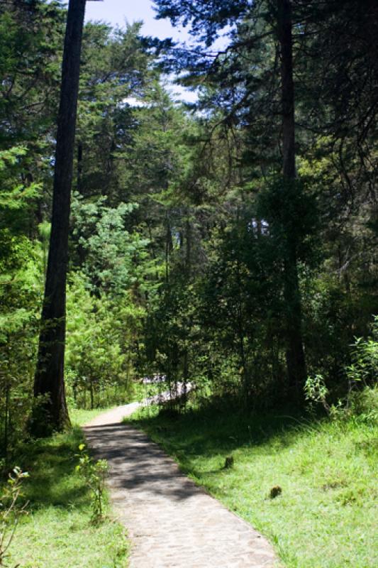 Parque Ecologico Piedras Blancas, Santa Elena, Med...