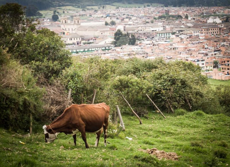 Panoramica de Facatativa, Bogota, Cundinamarca, Co...