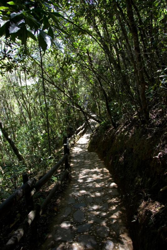 Parque Ecologico Piedras Blancas, Santa Elena, Med...