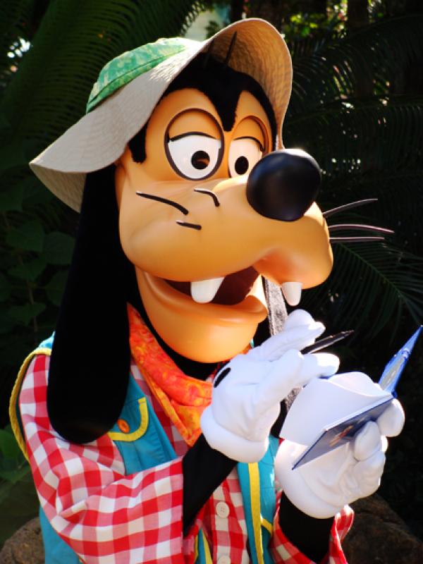 Goofy, Disney Animal Kingdom, Orlando, Florida, Es...