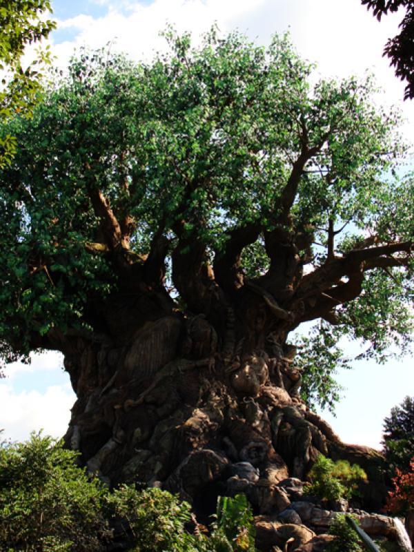 Disney Animal Kingdom, Orlando, Florida, Estados U...