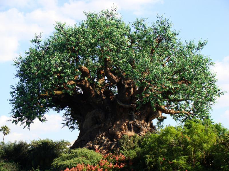 Disney Animal Kingdom, Orlando, Florida, Estados U...