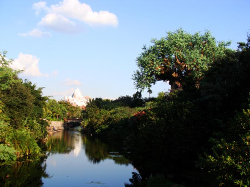 Disney Animal Kingdom, Orlando, Florida, Estados U...