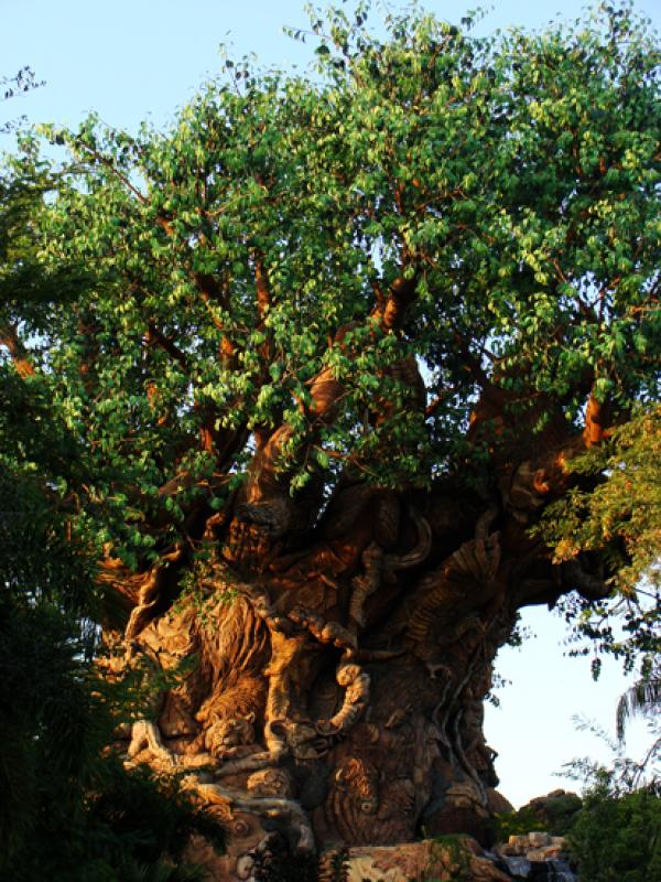 Disney Animal Kingdom, Orlando, Florida, Estados U...