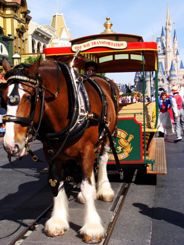 Magic Kingdom, Orlando, Florida, Estados Unidos, N...