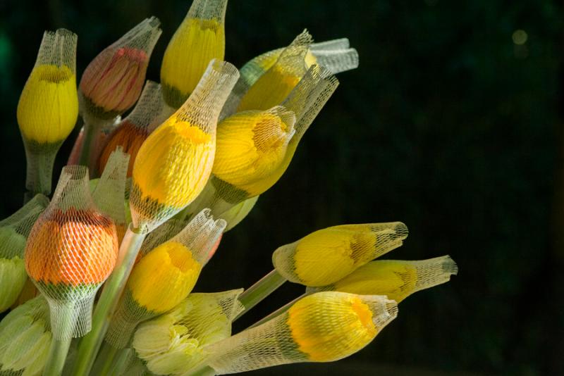 Ramillete de Flores