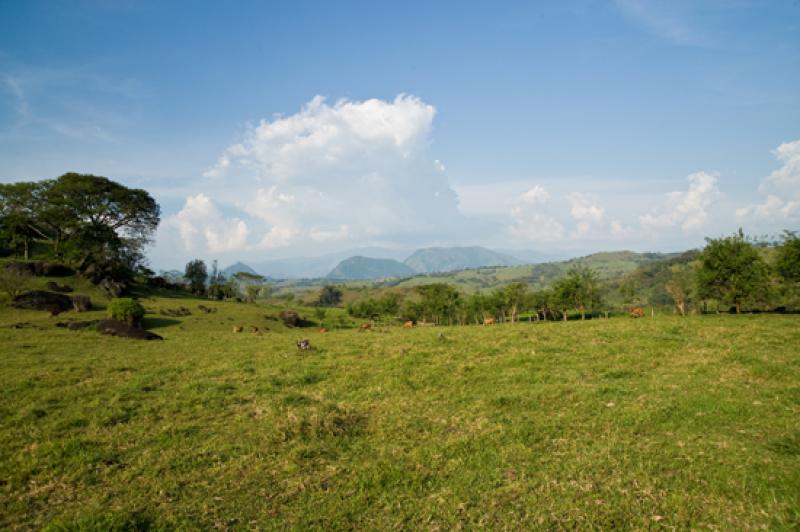 Paisaje en Tamesis, Suroeste AntioqueÃ±o, Antioq...