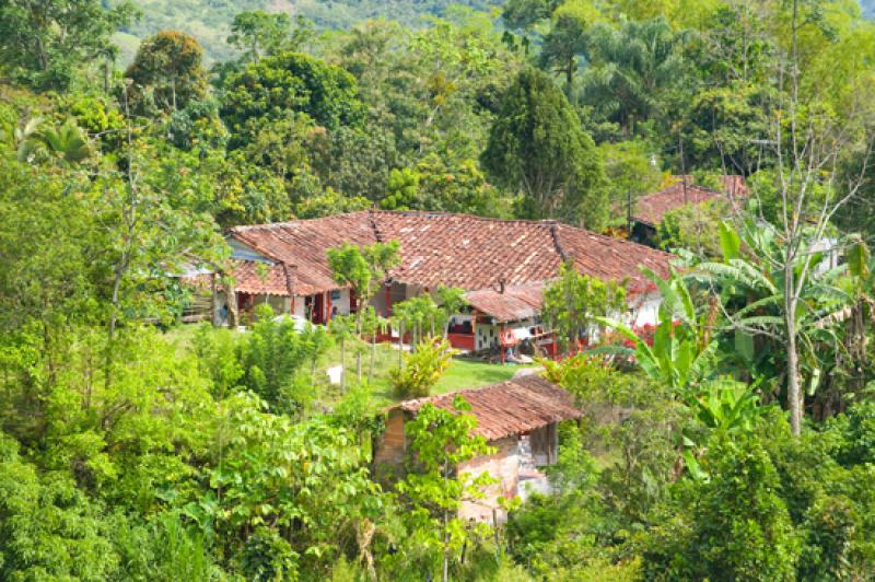 Vivienda en el Campo, Venecia, Suroeste AntioqueÃ...