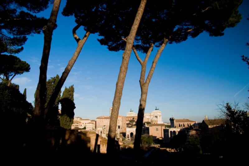 Foro Romano, Roma, Lacio, Italia, Europa Occidenta...