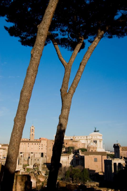 Foro Romano, Roma, Lacio, Italia, Europa Occidenta...