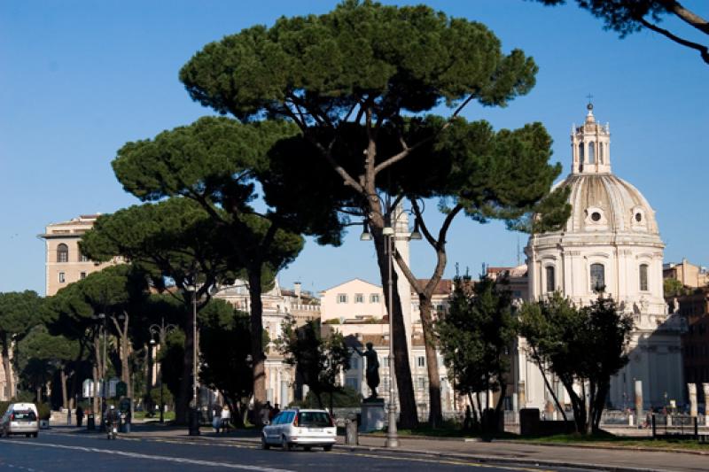 Iglesia del Santo Nombre de Maria, Roma, Lacio, It...