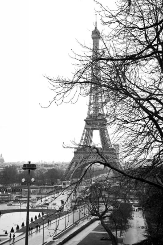 Torre Eiffel, Paris, Francia, Europa Occidental