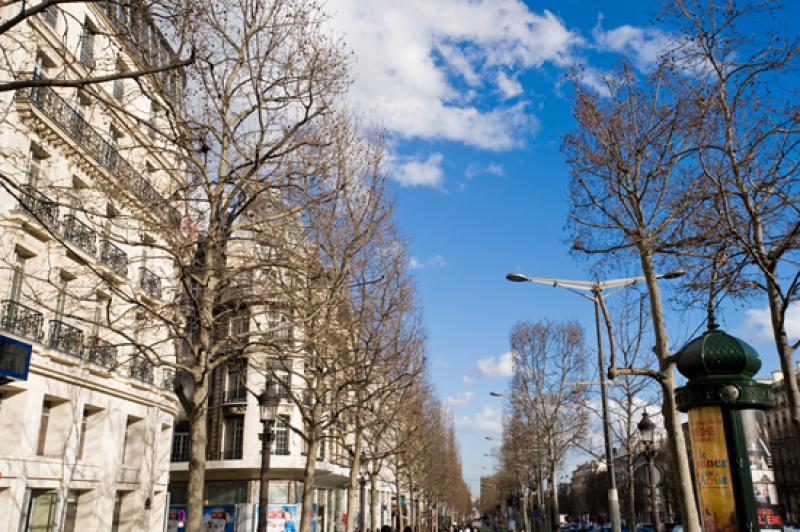 Campos Eliseos, Paris, Francia, Europa Occidental