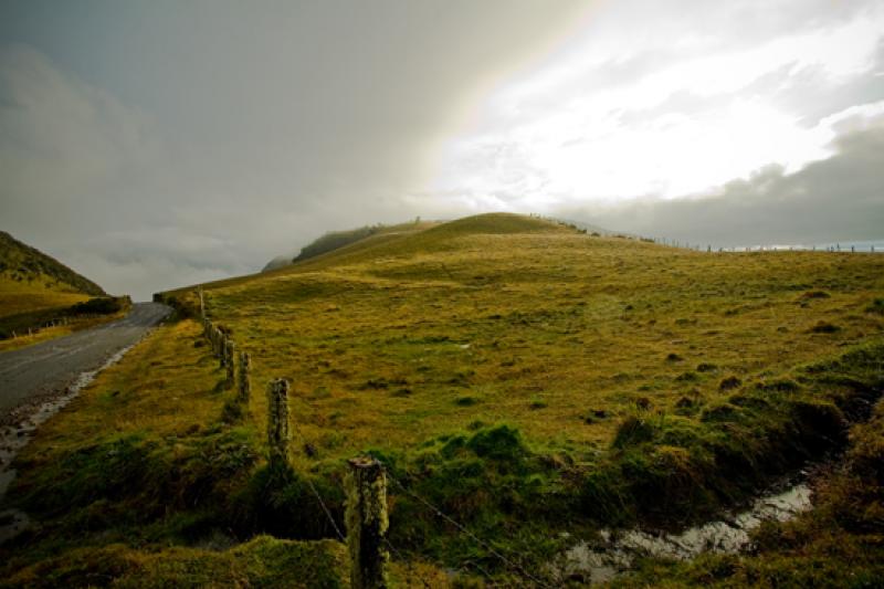 Parque Nacional Natural Los Nevados, Risaralda, Pe...