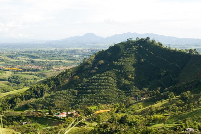 Paisaje del Eje Cafetero, Quindio, Armenia, Colomb...