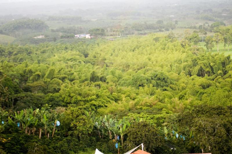 Parque Nacional del Cafe, Montenegro, Quindio, Arm...