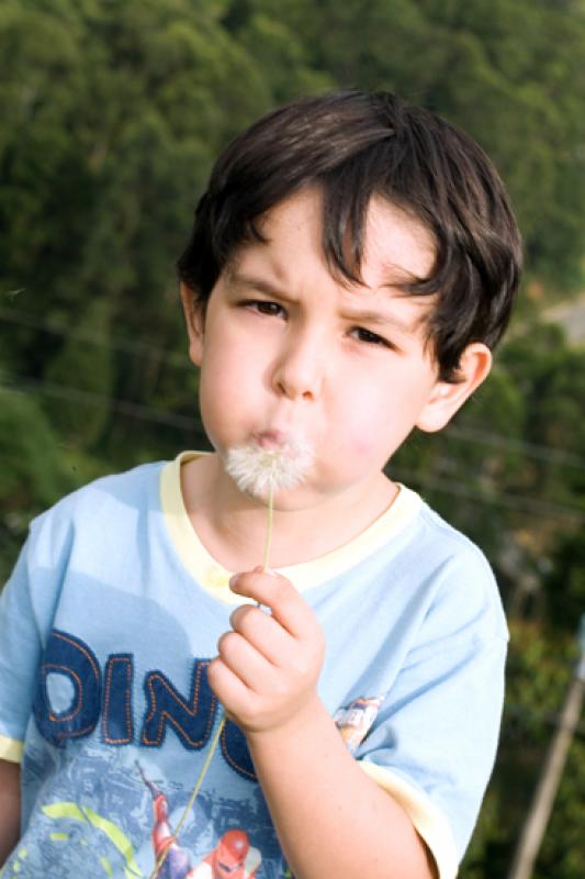 NiÃ±o Soplando un Diente de Leon