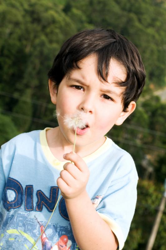 NiÃ±o Soplando un Diente de Leon