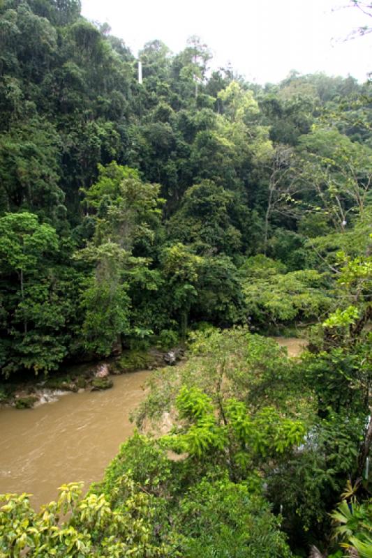 Reserva Natural CaÃ±on del Rio Claro, Antioquia,...