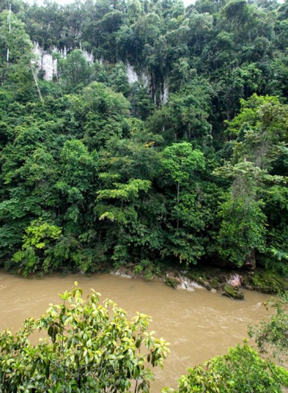 Reserva Natural CaÃ±on del Rio Claro, Antioquia,...