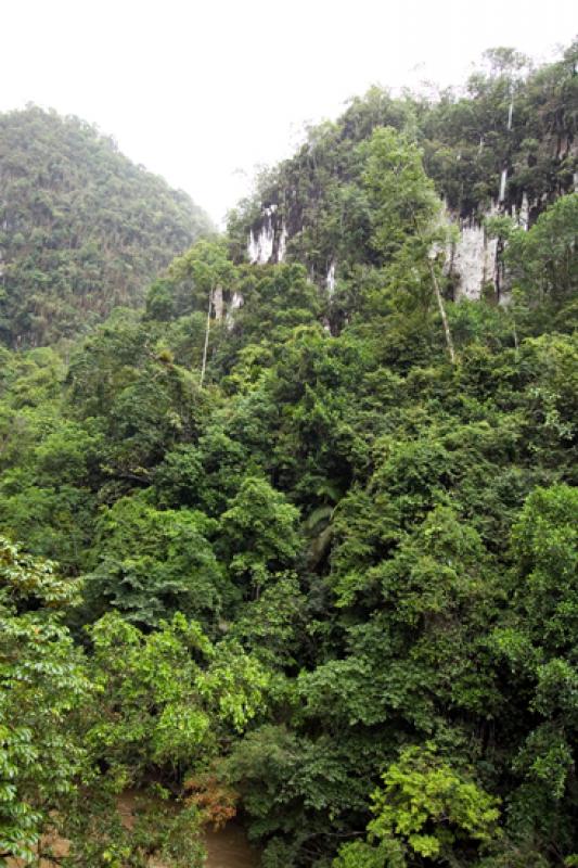 Reserva Natural CaÃ±on del Rio Claro, Antioquia,...