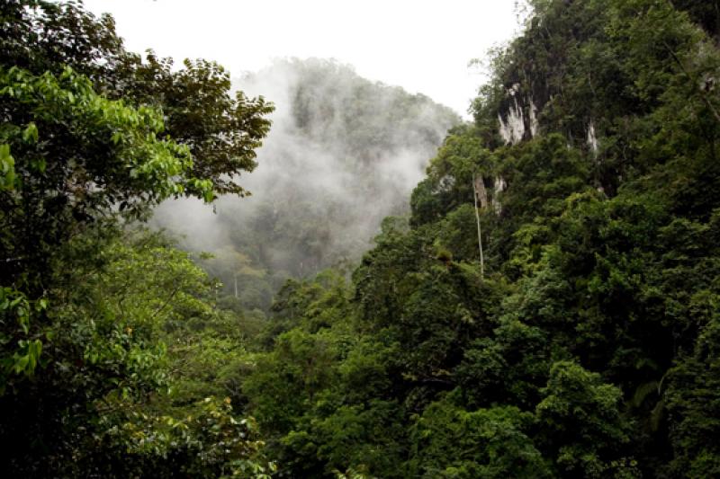 Reserva Natural CaÃ±on del Rio Claro, Antioquia,...