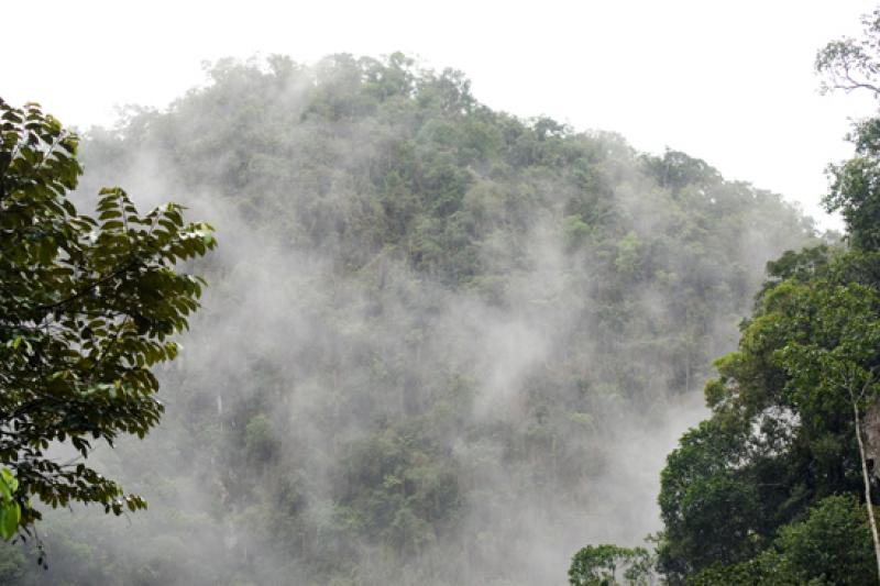 Reserva Natural CaÃ±on del Rio Claro, Antioquia,...