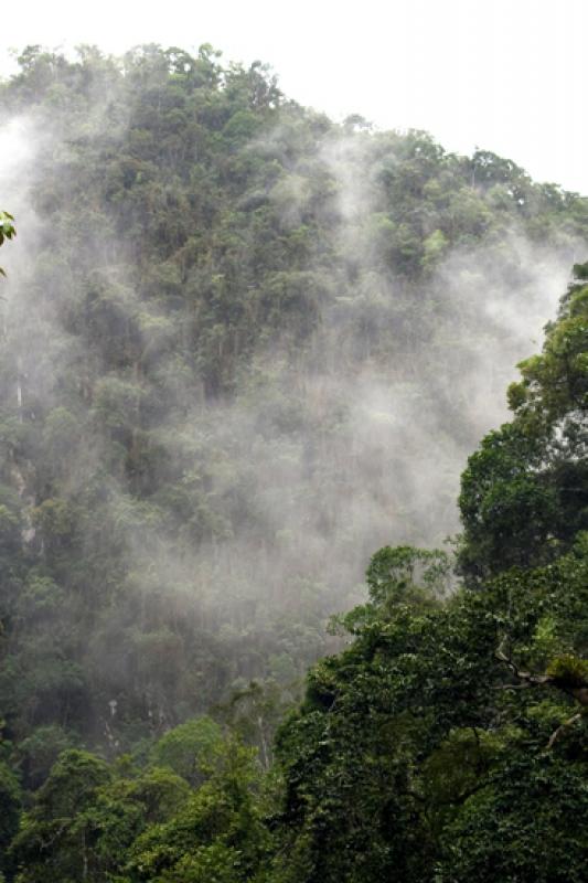 Reserva Natural CaÃ±on del Rio Claro, Antioquia,...