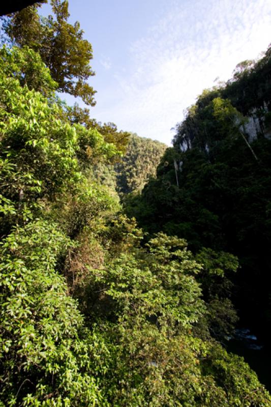 Reserva Natural CaÃ±on del Rio Claro, Antioquia,...