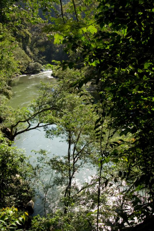 Reserva Natural CaÃ±on del Rio Claro, Antioquia,...