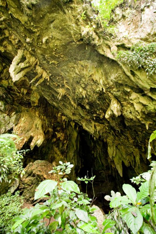 Cueva de los Guacharos, Reserva Natural CaÃ±on d...