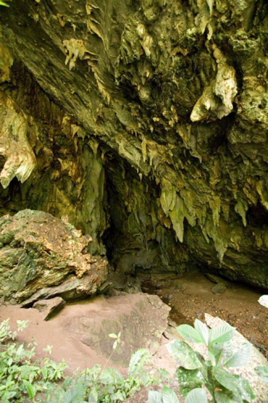 Cueva de los Guacharos, Reserva Natural CaÃ±on d...