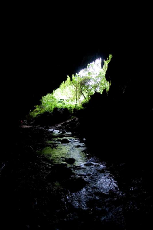 Cueva de los Guacharos, Reserva Natural CaÃ±on d...