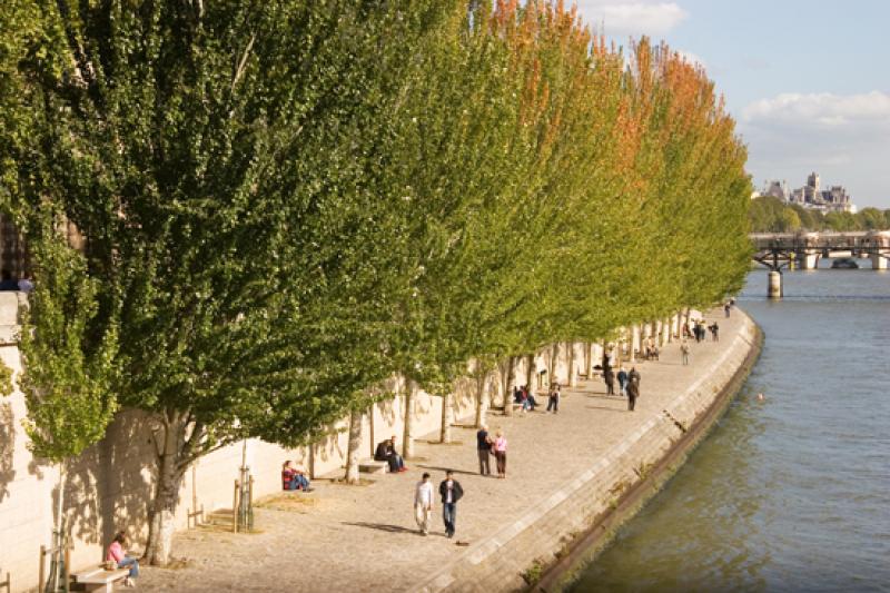 Riberas del Sena, Rio Sena, Paris, Francia, Europa...