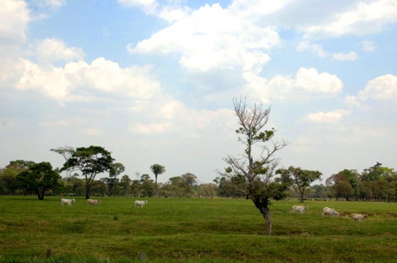 Llanos Orientales, Villavicencio, Meta, Colombia