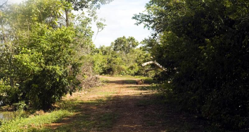 Llanos Orientales, Villavicencio, Meta, Colombia