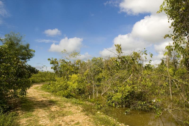 Llanos Orientales, Villavicencio, Meta, Colombia