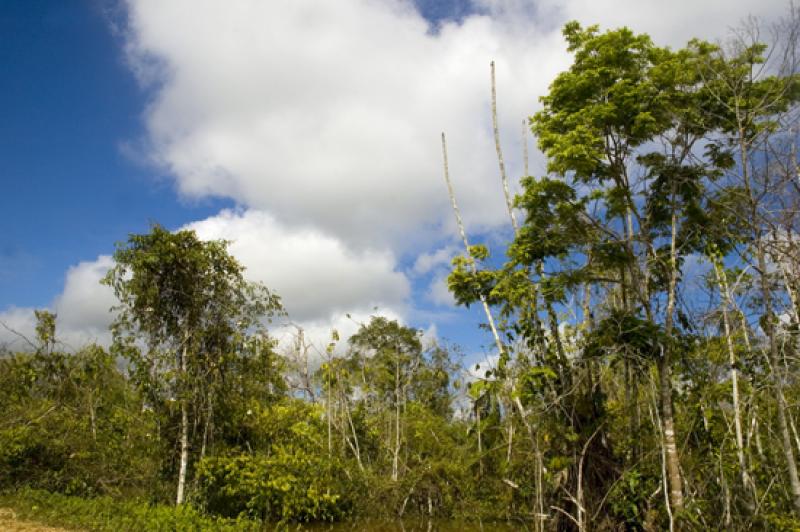 Llanos Orientales, Villavicencio, Meta, Colombia