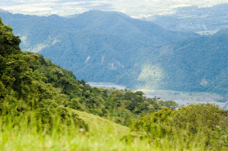 Paisaje de los Llanos Orientales, Villavicencio, M...