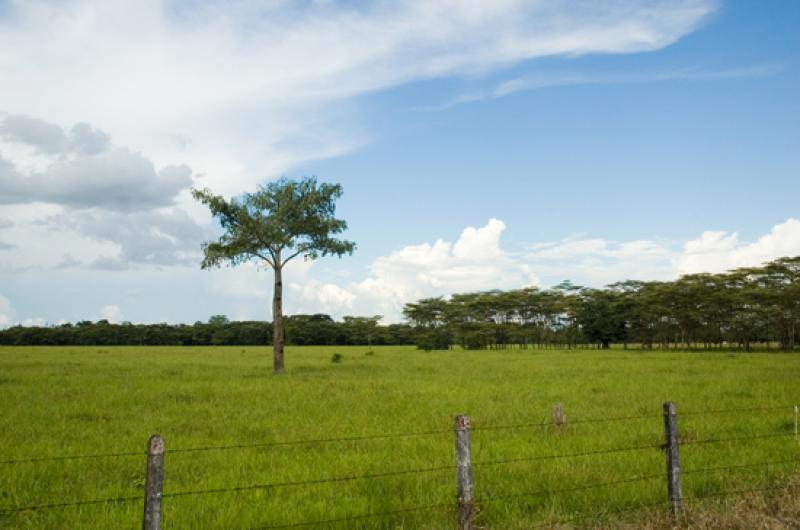 Llanos Orientales, Villavicencio, Meta, Colombia