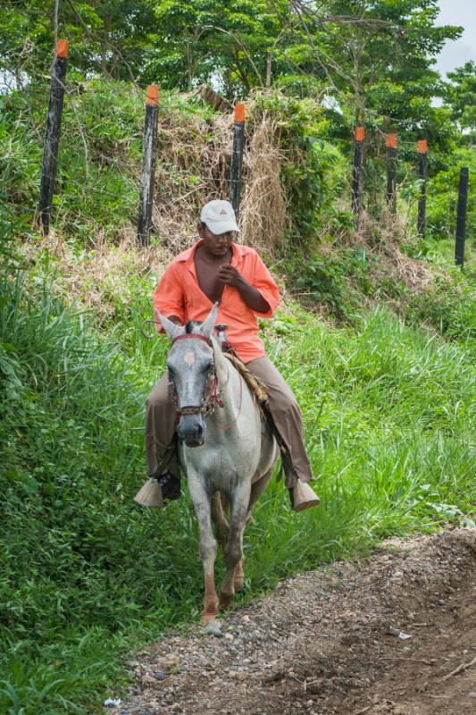 Hombre Cabalgando, Necocli, Antioquia, Colombia, S...