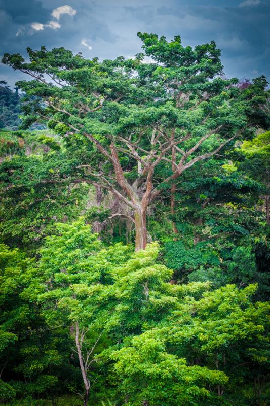 Necocli, Antioquia, Colombia, Sur America