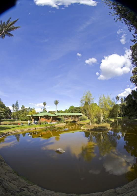 Jardin Botanico de Bogota Jose Celestino Mutis, Bo...