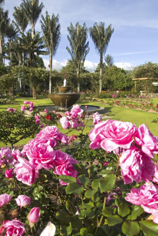 Jardin Botanico de Bogota Jose Celestino Mutis, Bo...