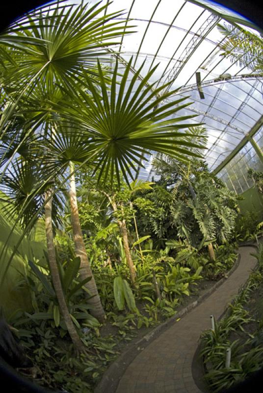 Jardin Botanico de Bogota Jose Celestino Mutis, Bo...