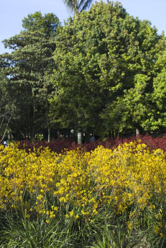 Jardin Botanico de Bogota Jose Celestino Mutis, Bo...